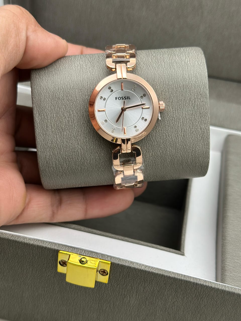 Fossil Elegance Collection